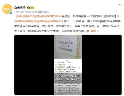 猪场饲养员洗澡后穿内裤罚款200